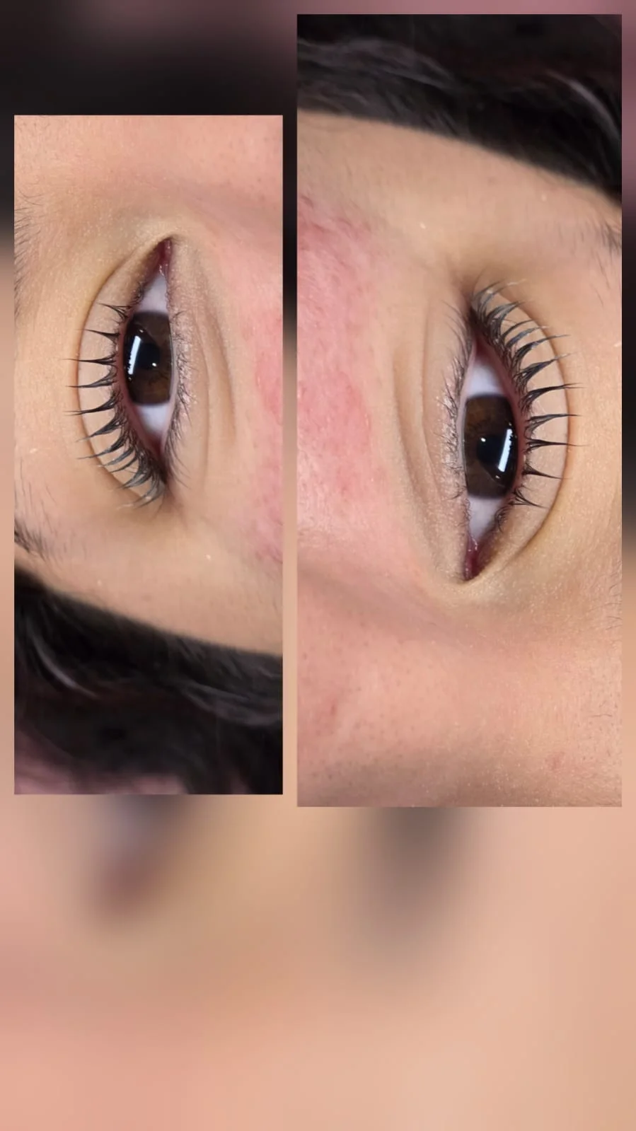 Cejas profesionales — Mexicali